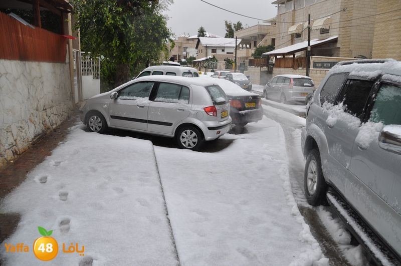 iceman lud 1213 (74).JPG